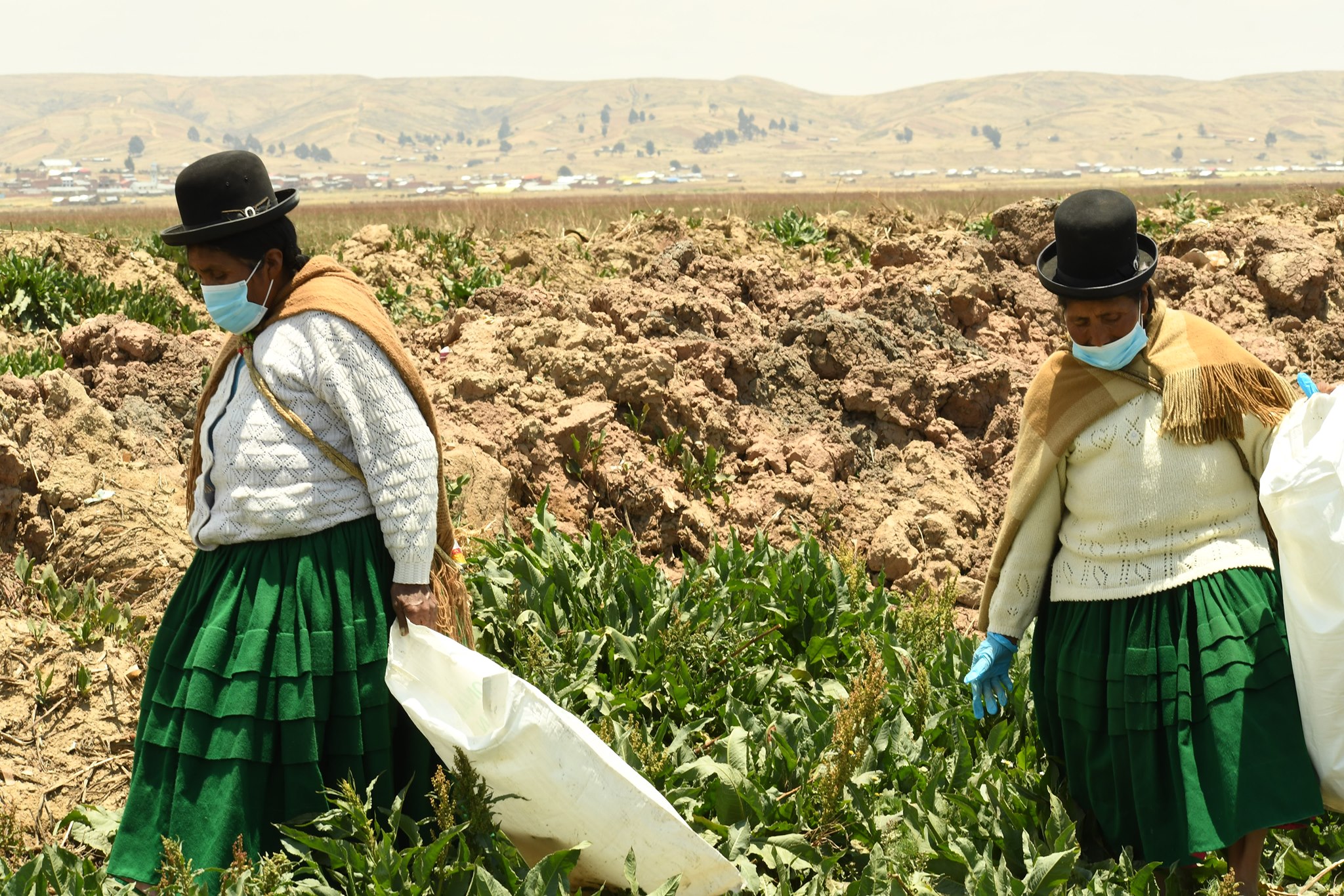 Las defensoras de la vida que se extingue en el lago Titicaca