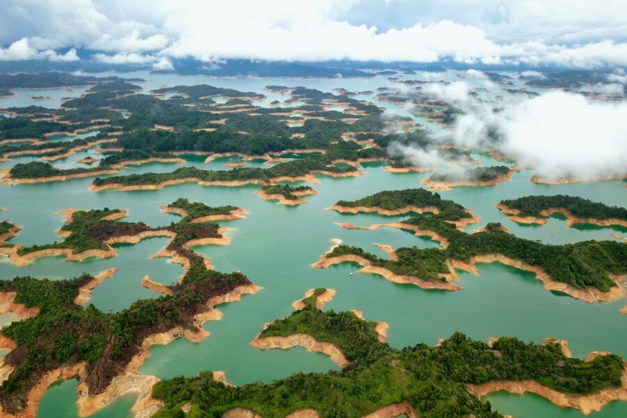 Para cuidar la riqueza natural, Colombia propone el canje de deuda externa por apoyo internacional para ese fin y la aceleración mundial de la conservación de la biodiversidad.