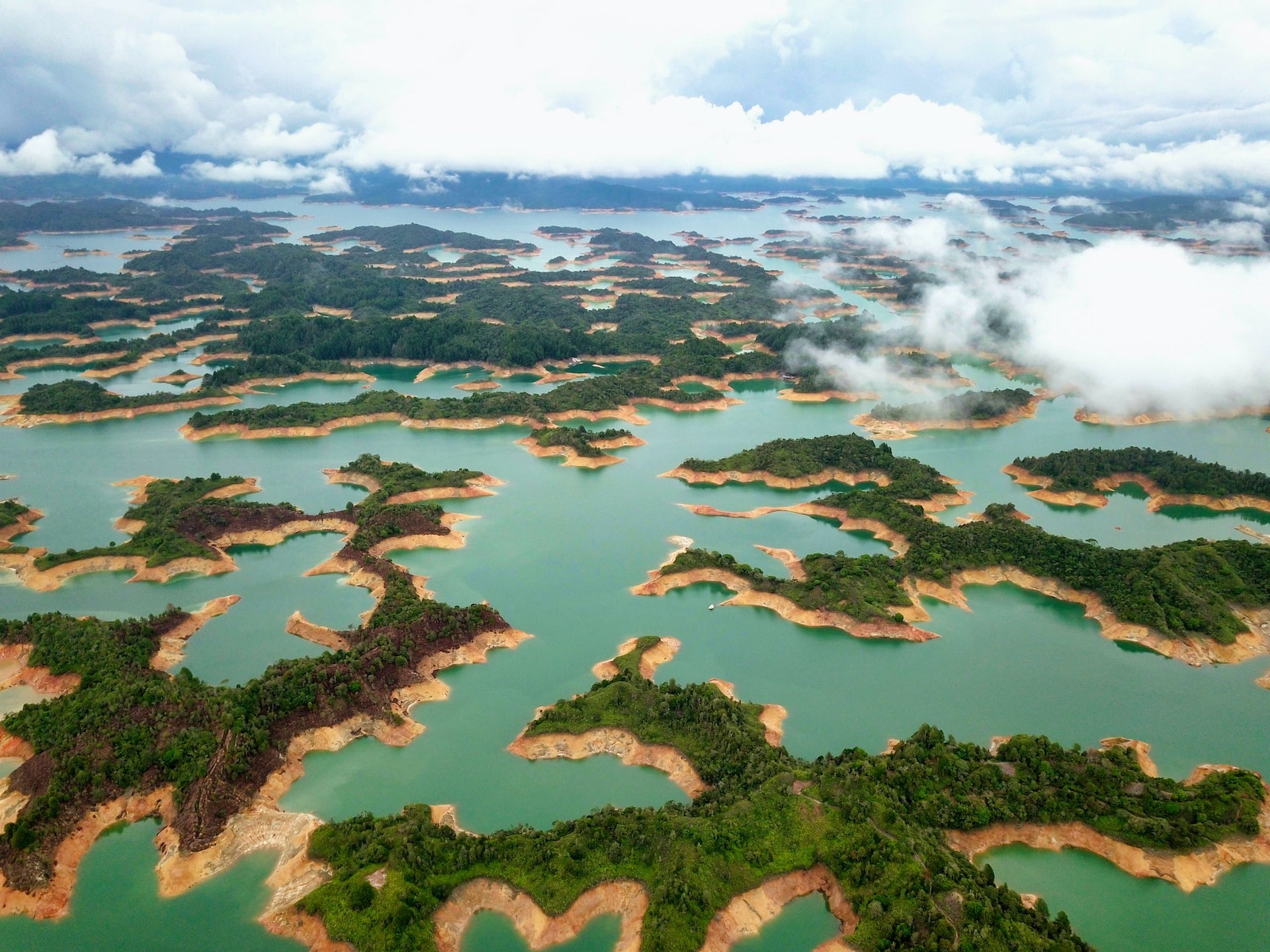 América Latina aterriza en la COP15 de biodiversidad con más desafíos que logros
