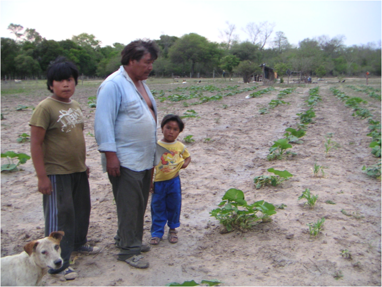 Algodón agroecológico devuelve la esperanza a comunidades al norte de Argentina.
