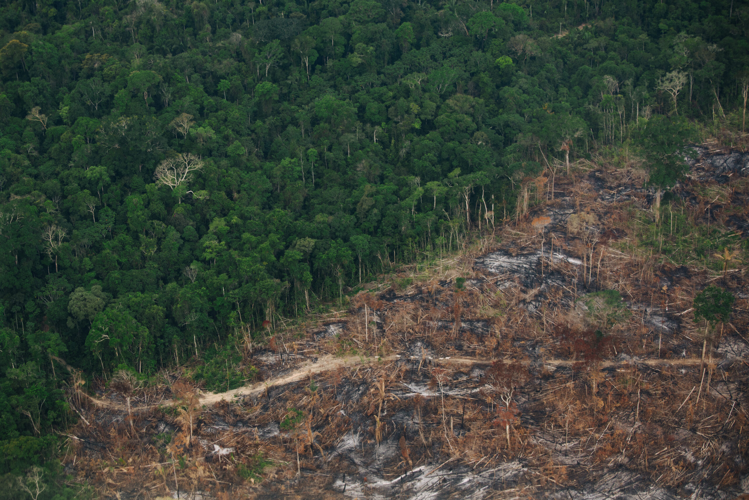 Cumbre amazónica: ocho países buscan un acuerdo para proteger la Amazonía